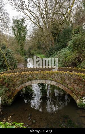 Jesmond Dene Park, Tyne and Wear, Royaume-Uni Banque D'Images