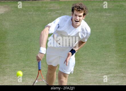 CHAMPIONNATS DE TENNIS DE WIMBLEDON 2008. 6E JOUR 28/6/2008 ANDY MURRAY PENDANT SON MATCH AVEC TOMMY HAAS. PHOTO DAVID ASHDOWN Banque D'Images