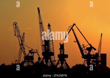 Silhouettes de grues pour le chargement de conteneurs sur des cargos/cargos le port au coucher du soleil Banque D'Images