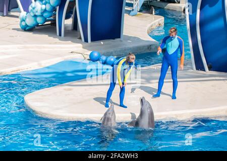 Orlando, Floride. 15 octobre 2020. Dauphins et entraîneurs à SeaWorld (6) Banque D'Images