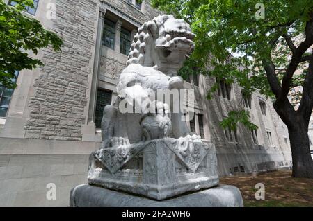 Musée royal de l'Ontario (Toronto) - lion gardien chinois - vue générale , homme Banque D'Images