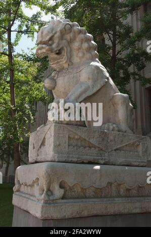 Musée royal de l'Ontario (Toronto) - lion gardien chinois - lion femelle, près du profil Banque D'Images