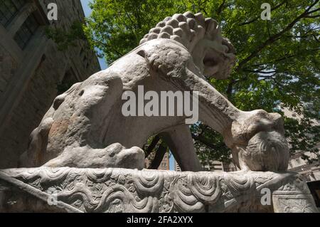 Musée royal de l'Ontario (Toronto) - lion gardien chinois - profil, vue de dessous Banque D'Images