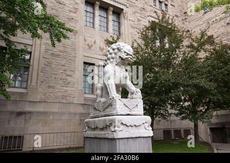 Musée royal de l'Ontario (Toronto) - lion gardien chinois - vue grand angle, montrant les bâtiments historiques du musée - côté est, entrée Avenue Road Banque D'Images