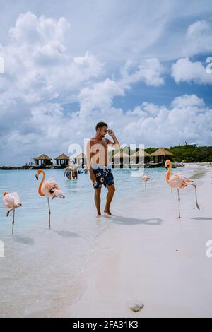 Aruba Mars 2021 plage avec flamants roses à la plage, flamants roses à la plage d'Aruba Island Caraïbes. Un flamant coloré en bord de mer, Renaissance Island Aruba Banque D'Images