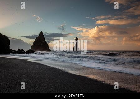 Des formations de roche de basalte noir sur les orteils de Troll. Vik, Reynisdrangar, Islande Banque D'Images