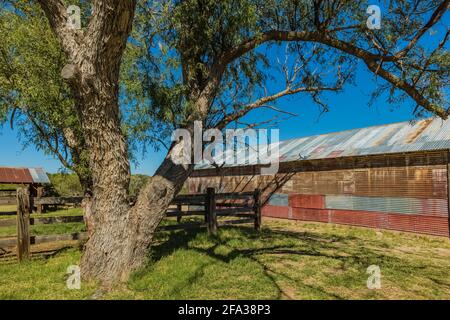 Grange en acier ondulé à Empire Ranch et à l'aire de conservation nationale de Las Cienegas en Arizona, aux États-Unis Banque D'Images