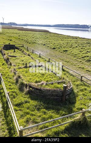 Vestiges de la barge Kennett Harriett, un des nombreux navires délibérément pêchés sur les rives de la rivière Severn aux huttes de Purton, Gloucestershire. Banque D'Images