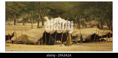 Mali: Bergers nomades, les Tuaregs du nord du Mali. Photo de David Sandison 13/12/2002 aller avec l'histoire de Mike Mc Carthy Banque D'Images