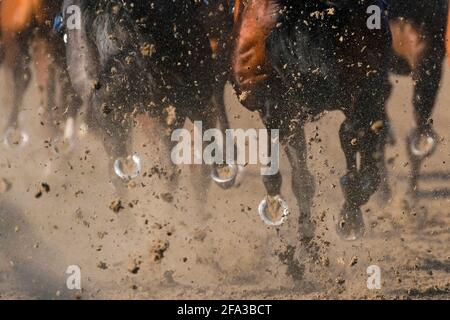 Les coureurs redonnent la surface de Polytrack pendant qu'ils se transforment en ligne droite pendant l'exemple à Chelmsford City 14 août handicap à Chelmsford City Racecourse. Date de la photo : jeudi 22 avril 2020. Banque D'Images