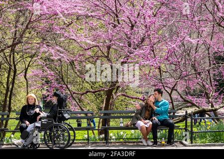 New York City Les résidents et les touristes profiter de Central Park au printemps, USA Banque D'Images