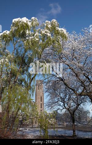 Detroit, Michigan - le carillon de la paix Nancy Brown sur Belle Isle, un parc insulaire dans la rivière Detroit, après une chute de neige printanière. Banque D'Images