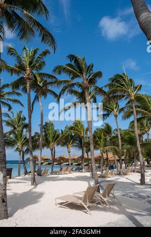 Aruba Mars 2021 la plage avec des flamants roses à la plage,, Renaissance île Aruba Banque D'Images