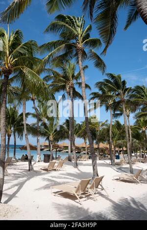 Aruba Mars 2021 la plage avec des flamants roses à la plage,, Renaissance île Aruba Banque D'Images