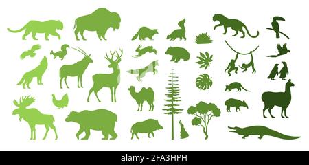 Silhouettes d'animaux sauvages d'Eurasie, Amérique du Nord, Amérique du Sud, illustration vectorielle. Faites des économies et découvrez la faune. Zoo. Géographie. Illustration de Vecteur