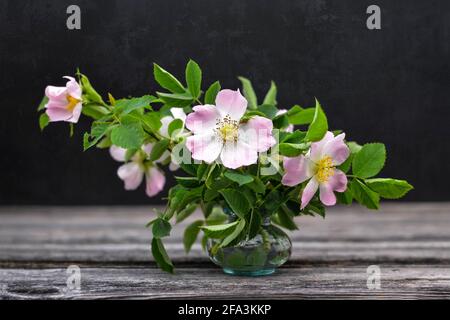 Encore la vie avec des roses sauvages dans un vase sur grunge foncé arrière-plan Banque D'Images
