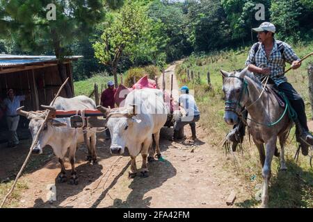 MIRAFLOR, NICARAGUA - 22 AVRIL 2016 : scène rurale dans la zone protégée Miraflor Nicaragua Banque D'Images