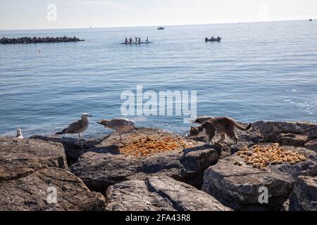 Des gens qui profitent d'une belle journée et du soleil sur les côtes de Bostanci pendant les journées de pandémie avant le couvre-feu à Kadikoy, Istanbul, Turquie, le 22 avril 2021. Banque D'Images