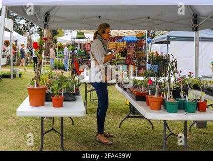 Tulsa Oklahoma USA 4 13 2018 Woman examine les plantes pour vente sur le stand lors du salon du jardin du printemps Banque D'Images