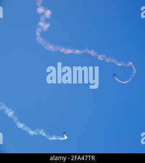 L'équipe d'exposition de parachutistes Red Devils descend avec une longue fumée Sentier au-dessus des terrains d'entraînement militaire de la plaine de Salisbury, sous un terrain sans nuages ciel bleu vif Banque D'Images