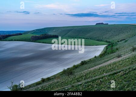 Vue sur le bord sud de Pewsey Vale avec forêt de copse dans la vallée en haut-défaut près de Pewsey, Wiltshire, North Wessex Downs AONB Banque D'Images