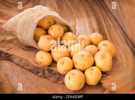 Solanum phureja - pomme de terre créole jaune biologique Banque D'Images