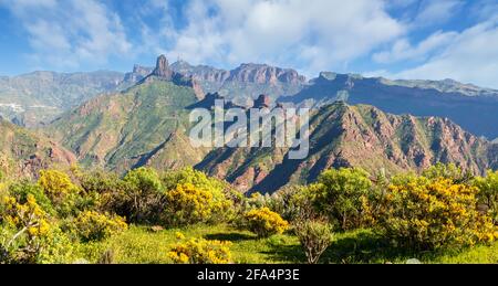 Paysage avec Roque Bentyga et Roque Nublo en arrière-plan, Grande Canarie, îles Canaries, Espagne Banque D'Images