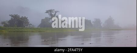 Paysage du Panama avec vue panoramique sur la forêt pluviale brumeuse dans la lumière du matin le long du Rio Chagres dans le parc national de Soberania, République du Panama. Banque D'Images