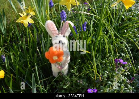 Mignon lapin de Pâques dans un lit de fleurs de printemps Banque D'Images