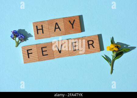 Rhume des foins, mots en lettres de l'alphabet en bois isolés sur fond bleu avec des fleurs bleues et jaunes Banque D'Images