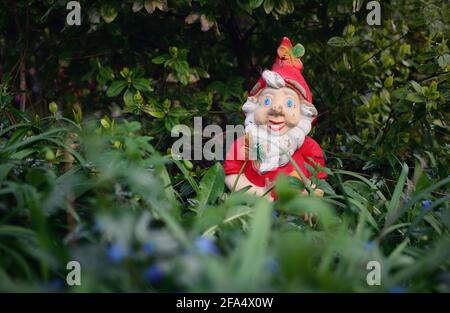 Le gnome en céramique rouge vintage est caché derrière l'herbe dans le jardin. Banque D'Images