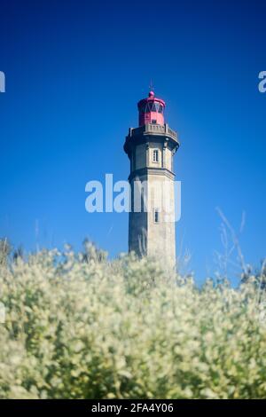 Phare des baleines à Saint-Clément-des-baleines sur l'île d'ile De Ré en France par une journée ensoleillée en été Banque D'Images