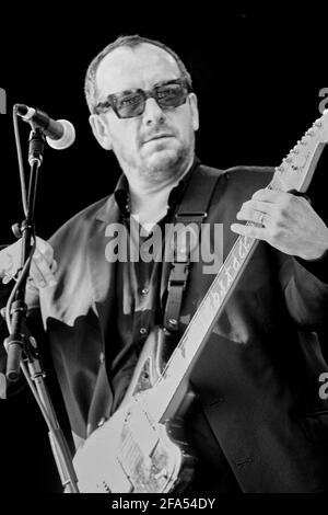 Elvis Costello, V2002, Hylands Park, Chelmsford, Essex, Royaume-Uni - 17 août 2002 Banque D'Images