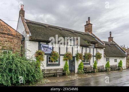 The Wheatsheaf Inn and Cowshed Restaurant, Raby, Wirral, Royaume-Uni ; un pub de chaume datant de 1611 et le plus ancien pub du Wirral. Banque D'Images