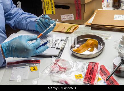 Analyses de police spécialisées seringue avec des traces de sang d'une victime (USA) avec des pincettes, conceptual image Banque D'Images