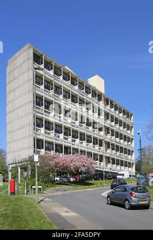 Domaine d'Alton East à Roehampton, Londres, Royaume-Uni. Célèbre projet de logement moderniste des années 1950 inspiré par l'unité d'habitation du Corbsier Banque D'Images