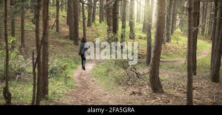 femme calme marchant seule dans la forêt à la recherche de l'aventure. Détendez-vous dans la nature. Paysage en forêt de pins au coucher du soleil Banque D'Images