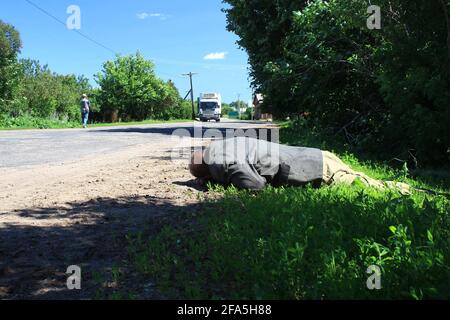 Novgorod, Russie, Aleksandr Kirillov - 06202012: 'Un homme très ivre dort sur le sol' Banque D'Images