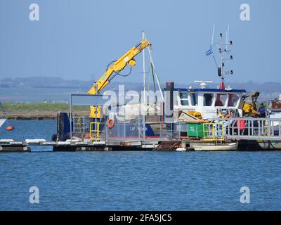 Queenborough, Kent, Royaume-Uni. 23 avril 2021. Un port de Peel a identifié une épave dans l'estuaire de Medway en avril de l'année dernière. Cette épave a été récupérée hier par les plongeurs et le navire Liftmoor, et l'épave a été achetée au port de Queenborough pour élimination. La Medway & Swale Boating Association est préoccupée par le nombre croissant de bateaux abandonnés sur les amarres, ce qui entraîne souvent des coûts importants pour la récupération, la récupération et l'élimination par les différentes autorités qui doivent traiter les embarcations abandonnées. Crédit : James Bell/Alay Live News Banque D'Images