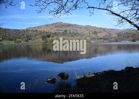 Belle scène printanière matinale regardant à travers le lac Grasmere en prenant sur l'île Grasmere le point de vue élevé de Silver Comment réfléchir sur sa surface. Banque D'Images