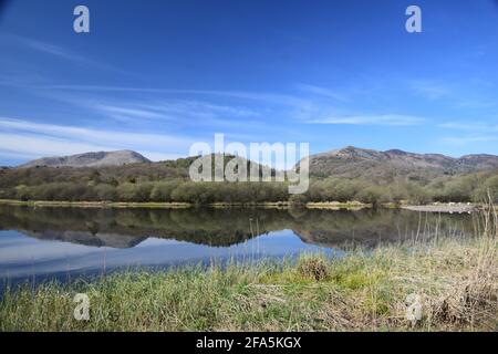 Situé dans la vallée de la grande Langdale et entouré par les pikes Langdale inspirants se trouve la belle Elterwater, dans le vieux norse, lac de cygne. Banque D'Images