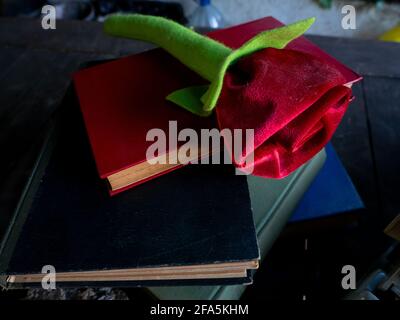 Une rose sur une pile de livres et une machine à écrire Banque D'Images