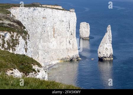 The Pinnacles, Studland, île de Purbeck, Dorset, Royaume-Uni Banque D'Images