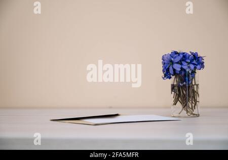 Carte, enveloppe et petites fleurs hepatica dans une bouteille en verre sur une table en bois. Violet Hepatica nobilis, Hepatica commun ou Anemone hepatica. Début de la spri Banque D'Images