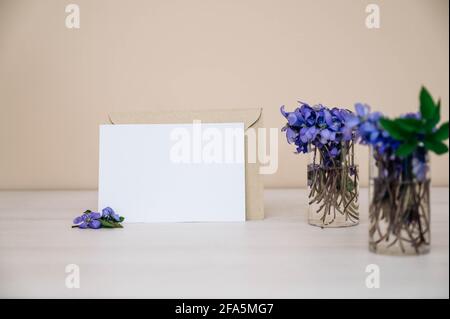 Carte, enveloppe et petites fleurs hepatica dans une bouteille en verre sur une table en bois. Violet Hepatica nobilis, Hepatica commun ou Anemone hepatica. Début de la spri Banque D'Images