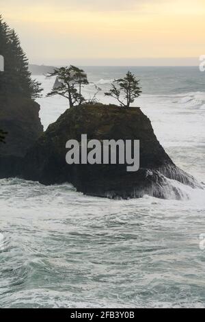 Gros plan des vagues qui se brisent dans UNE pile de la mer le long du Côte de l'Oregon Banque D'Images