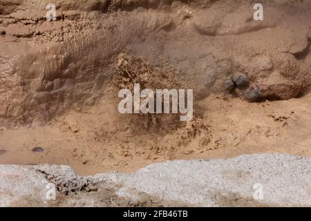 Parc national de Yellowstone, Montana, États-Unis - juillet 15 2018: Vieux fidèles et la zone environnante de boue, pots de vapeur, geysers, eau bouillante, chaud. Banque D'Images