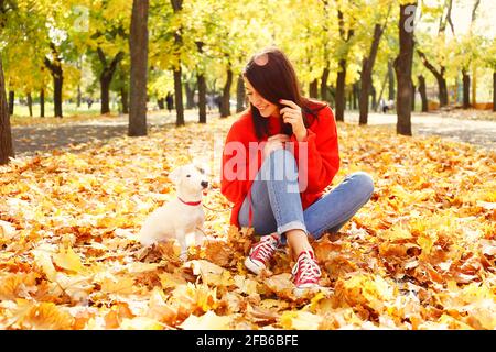 Jeune femme attrayante avec de longs cheveux de brunette, portant un chandail rouge surdimensionné et maman jeans marchant dans le parc son chiot Jack Russell Terrier, congé jaune Banque D'Images