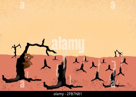 Singes dans la forêt tropicale brûlée essayant de trouver Schelten, arbres brûlés, sol rouge et Yellowjackes ciel après le feu Banque D'Images