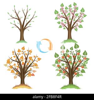 Cycle saisonnier de l'arbre à pommes Illustration de Vecteur